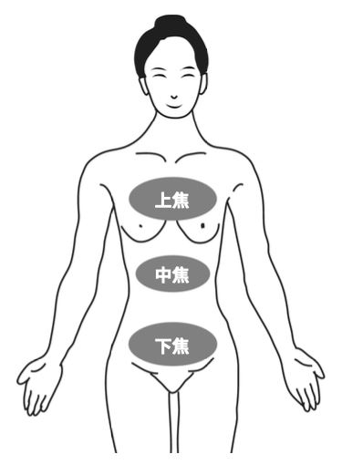 血脂太高怎麼辦？中醫：須經常排濕！2組運動天天做，代謝動起來_img_1