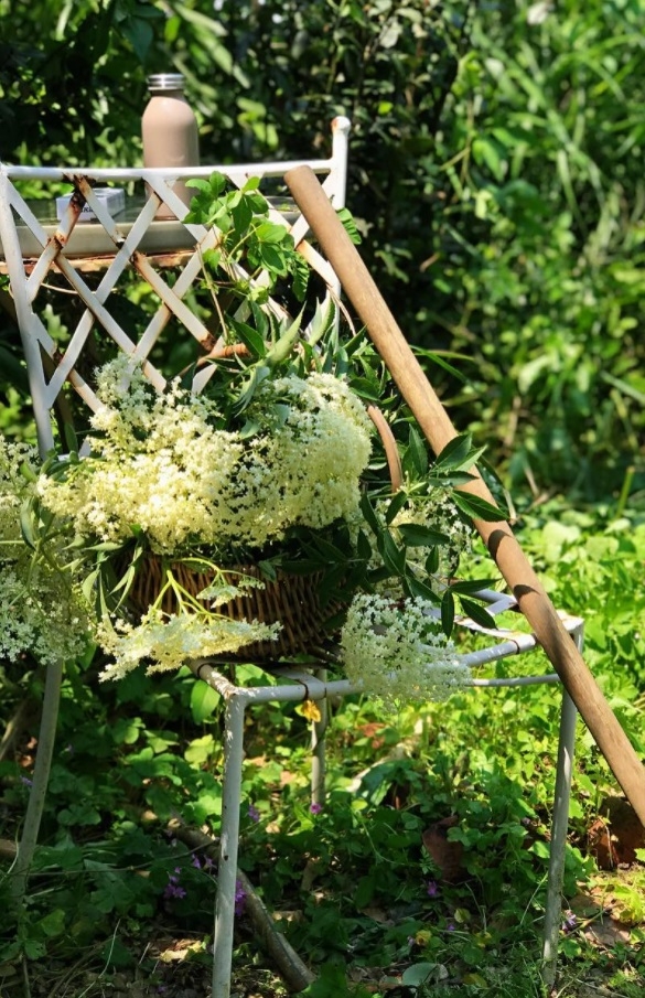 香氣圍繞中的療癒日常，香草生活家Julia：偶爾放任自由生長，人生會更豐盛_img_5