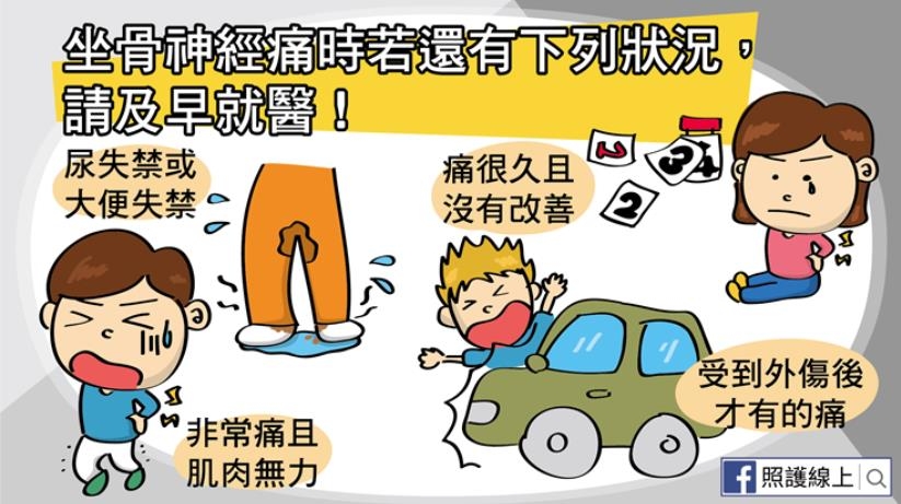 照護線上│50後易坐骨神經痛！屁股痛、腳麻、腿刺痛，在家做7件事預防與改善_img_5