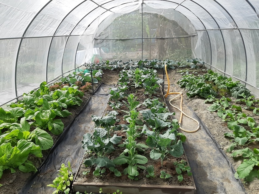 中年後2度罹癌、先生病逝！50+學員鄭秋鳳：喜歡什麼就去學，活著的每一天都是賺到_img_1