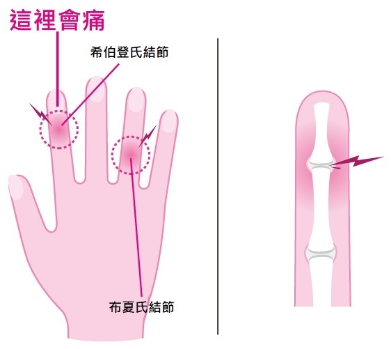 (圖片來源:日経ARIA)