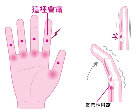 (圖片來源:日経ARIA)