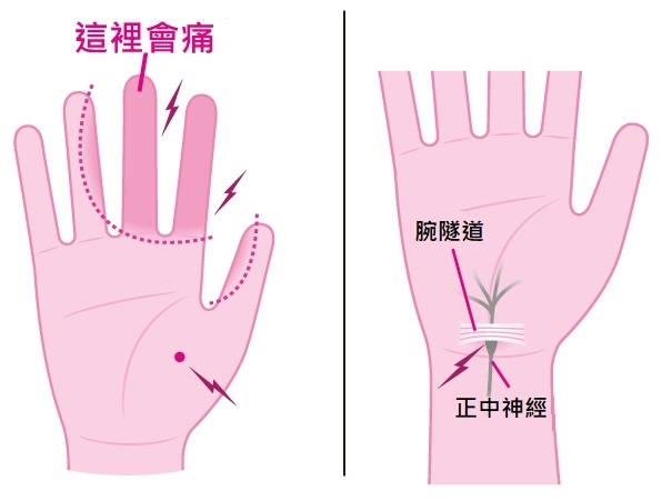 (圖片來源:日経ARIA)