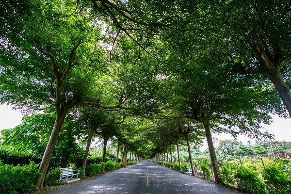 大武山下沉澱再出發！騎Pbike慢遊潮州，品味小鎮文化_img_6