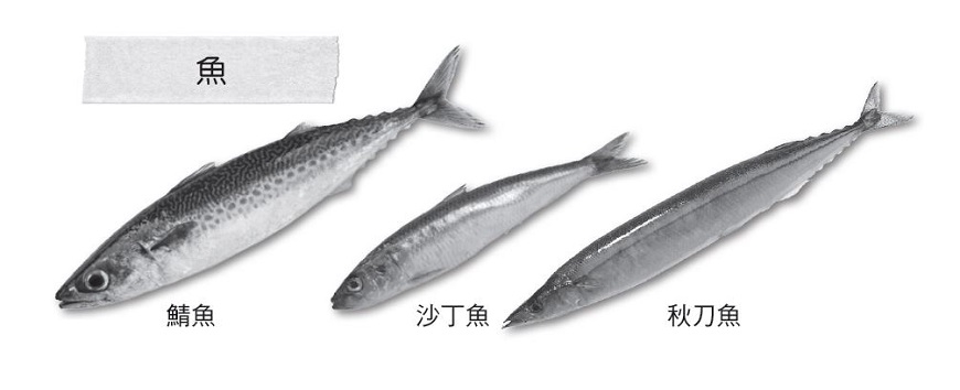 (圖片來源:《喚醒青春荷爾蒙》)