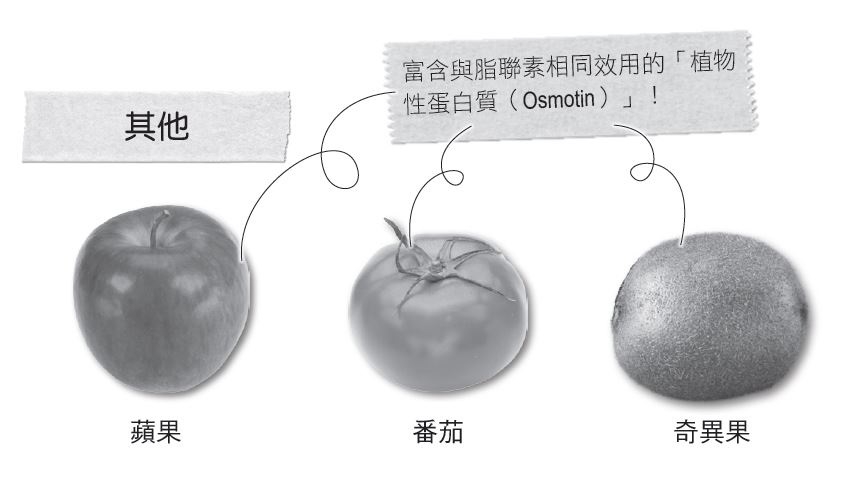 (圖片來源:《喚醒青春荷爾蒙》)