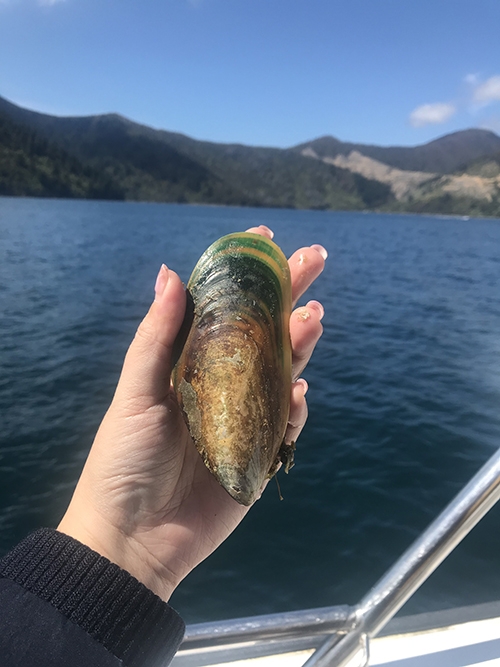 為何年輕時不容易累？9個生活好習慣，讓你把「好狀態｣留住_img_1