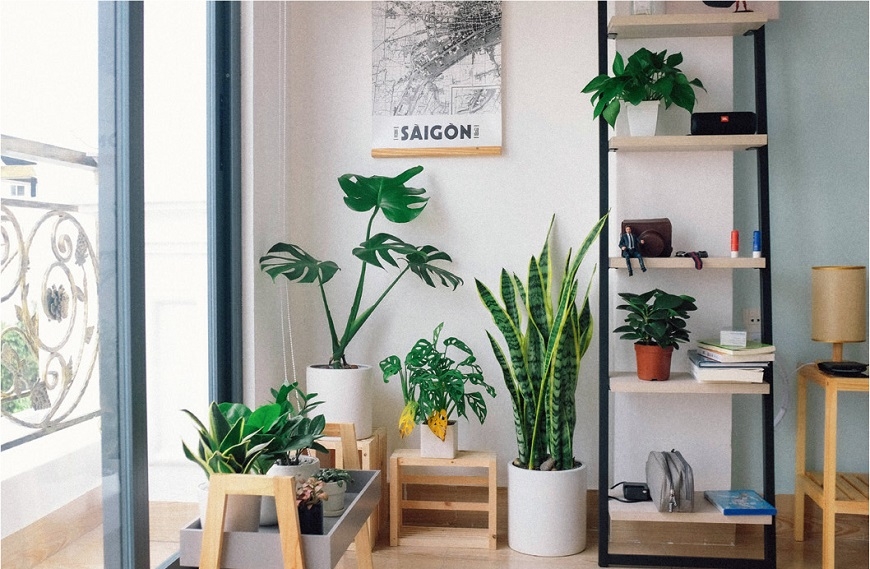 陽台就是要美！如何布置陽台小花園，高雅脫俗又方便打掃？_img_3