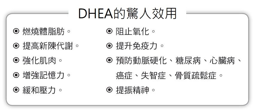 每週3天深蹲防癌與失智!醫師:增加回春荷爾蒙DHEA分泌的4個習慣_img_1