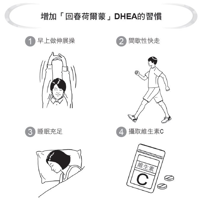 每週3天深蹲防癌與失智!醫師:增加回春荷爾蒙DHEA分泌的4個習慣_img_2