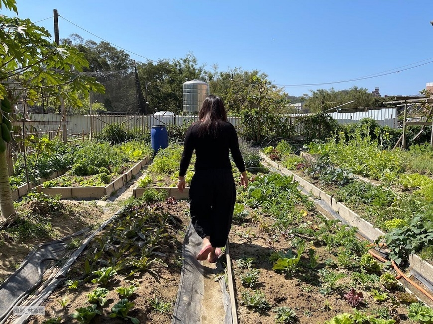 林黛羚專欄｜50後如何享受田園樂？租地農耕、頂樓變身，讓花草豐富五感_img_1