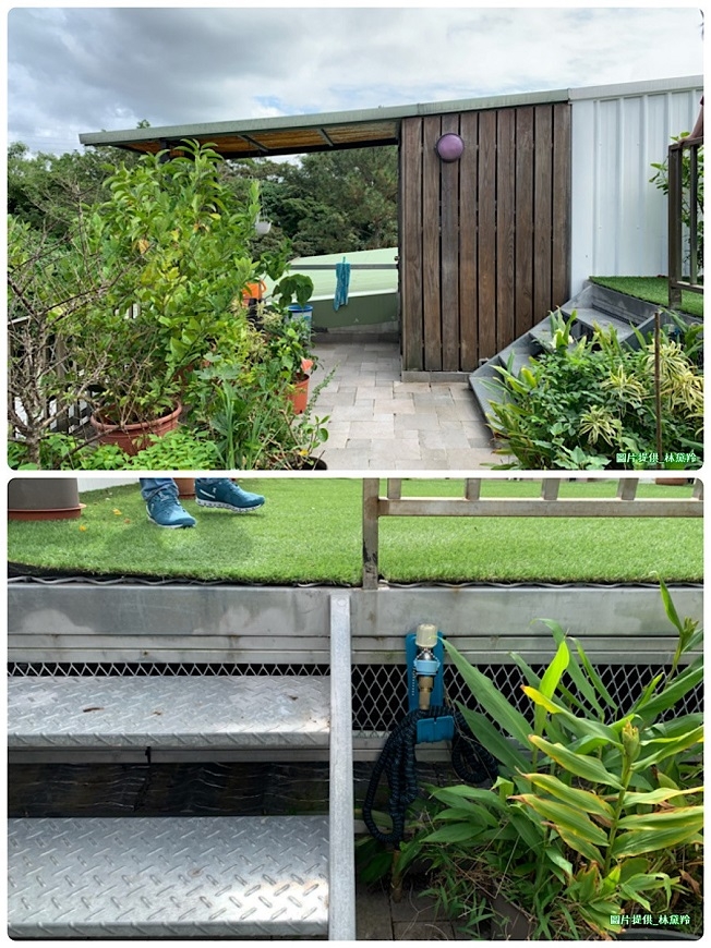 林黛羚專欄｜50後如何享受田園樂？租地農耕、頂樓變身，讓花草豐富五感_img_4