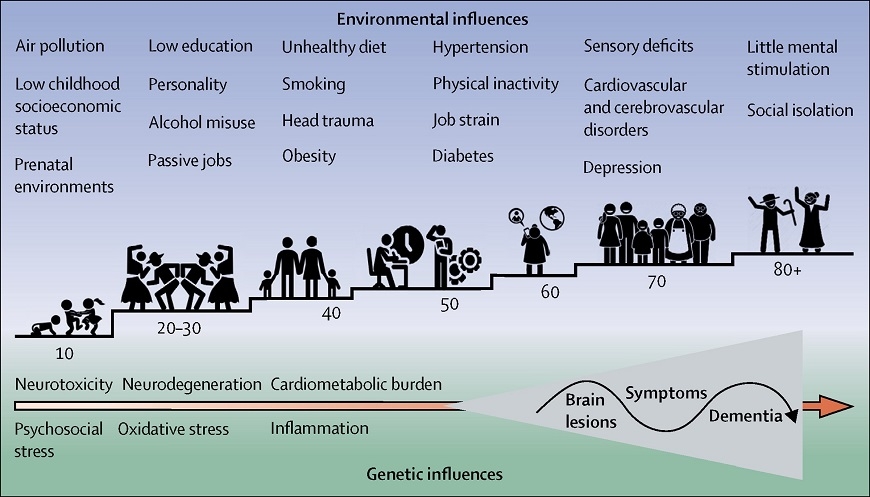 防失智是一輩子的事!研究:從0~80歲都有危險因子,你和家人開始改變了嗎?_img_1