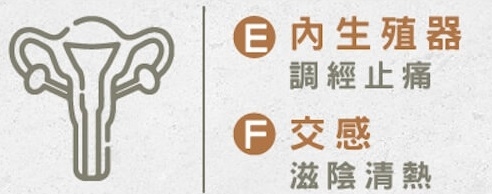 按摩耳朵好處多!睡不好、腳痠或頭痛,該捏耳朵上方、中間還是下面才能舒緩?_img_4