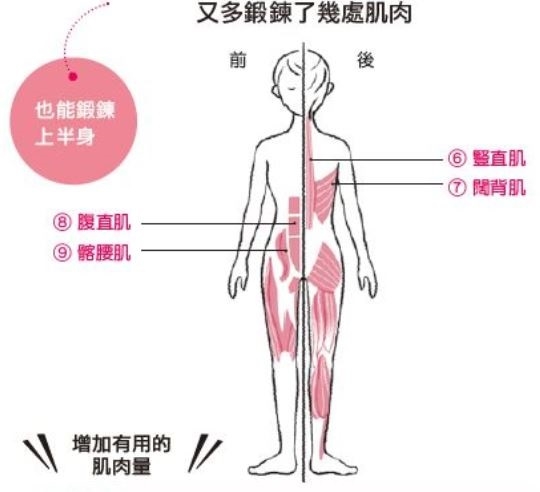肌少症害老後臥床！不傷腰與膝蓋的柔性深蹲，1天10次鍛鍊下半身肌肉_img_4