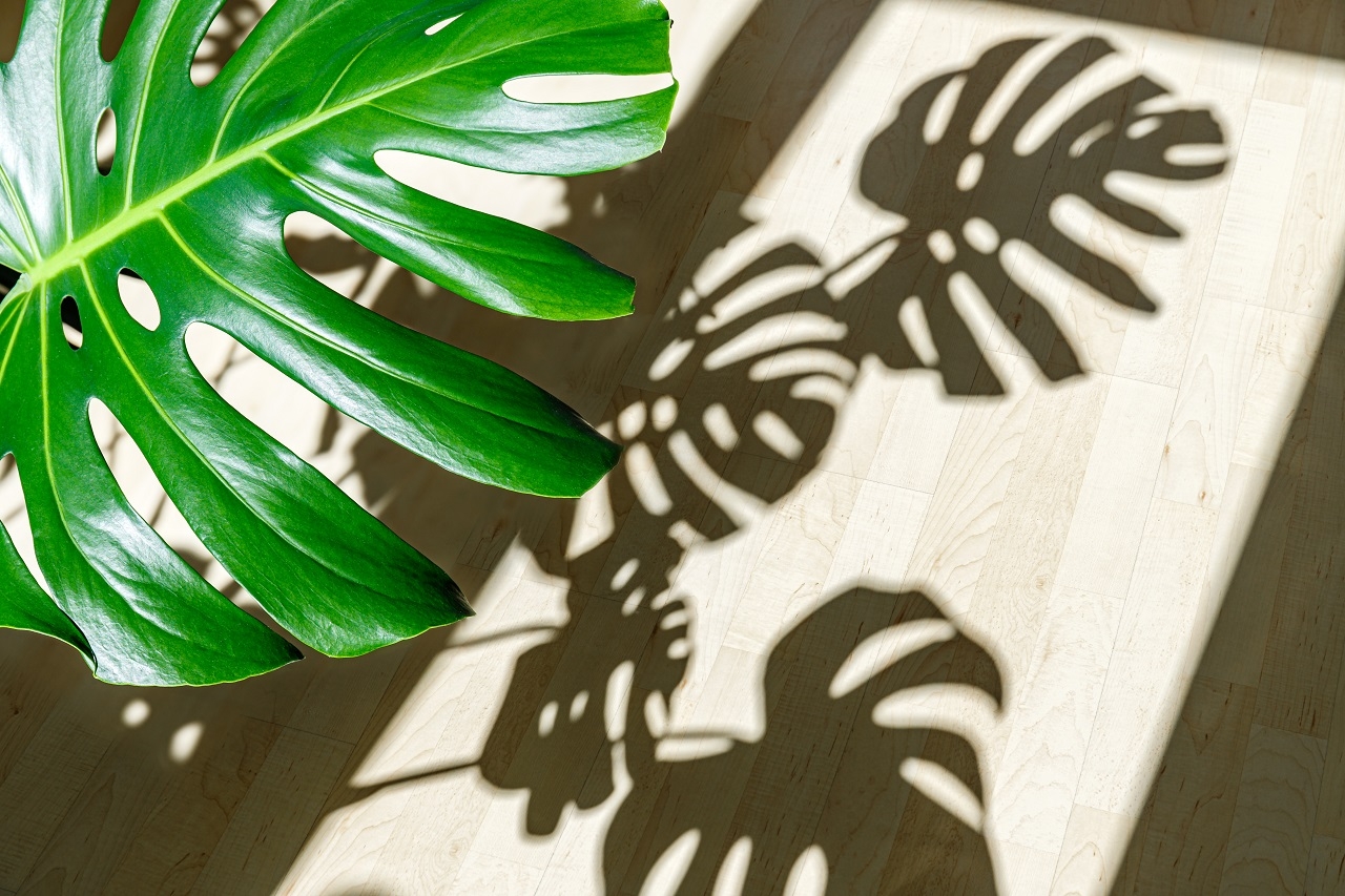 放聲大笑的自由!享受大螢幕還能隔絕噪音,客廳變家庭劇院的微裝修指南_img_2