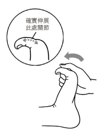 不想老後駝背,常按手掌與腳底!健身教練:改善循環、關節僵硬,從第一指節開始_img_8