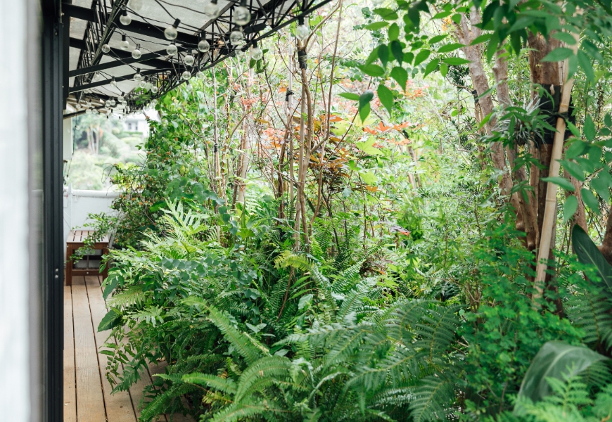 打造讓人不想出門的療癒花園!景觀建築師吳書原:如何讓40年老公寓比五星飯店還舒服?_img_1