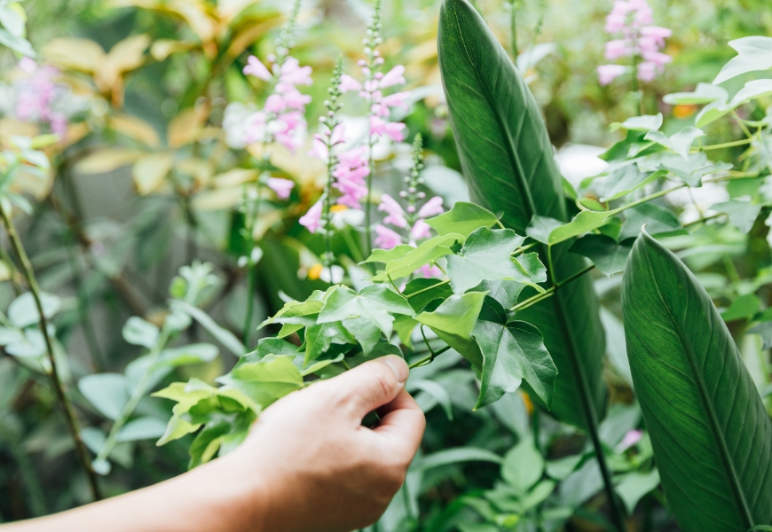 打造讓人不想出門的療癒花園!景觀建築師吳書原:如何讓40年老公寓比五星飯店還舒服?_img_4