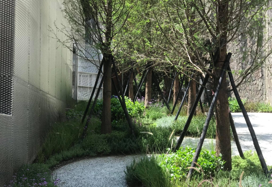 打造讓人不想出門的療癒花園!景觀建築師吳書原:如何讓40年老公寓比五星飯店還舒服?_img_6