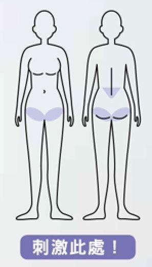 (圖片來源:《一分鐘隨時做!讓小腹平坦的臀肌伸展操》)