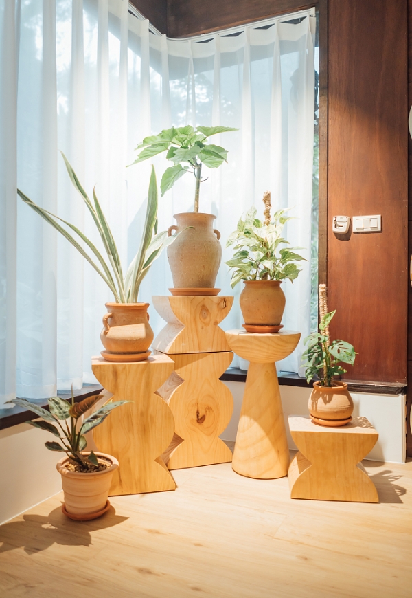 室內植物如何布置才療癒?植物風格師Yuty:4個秘訣,讓家變成美美的綠空間_img_4