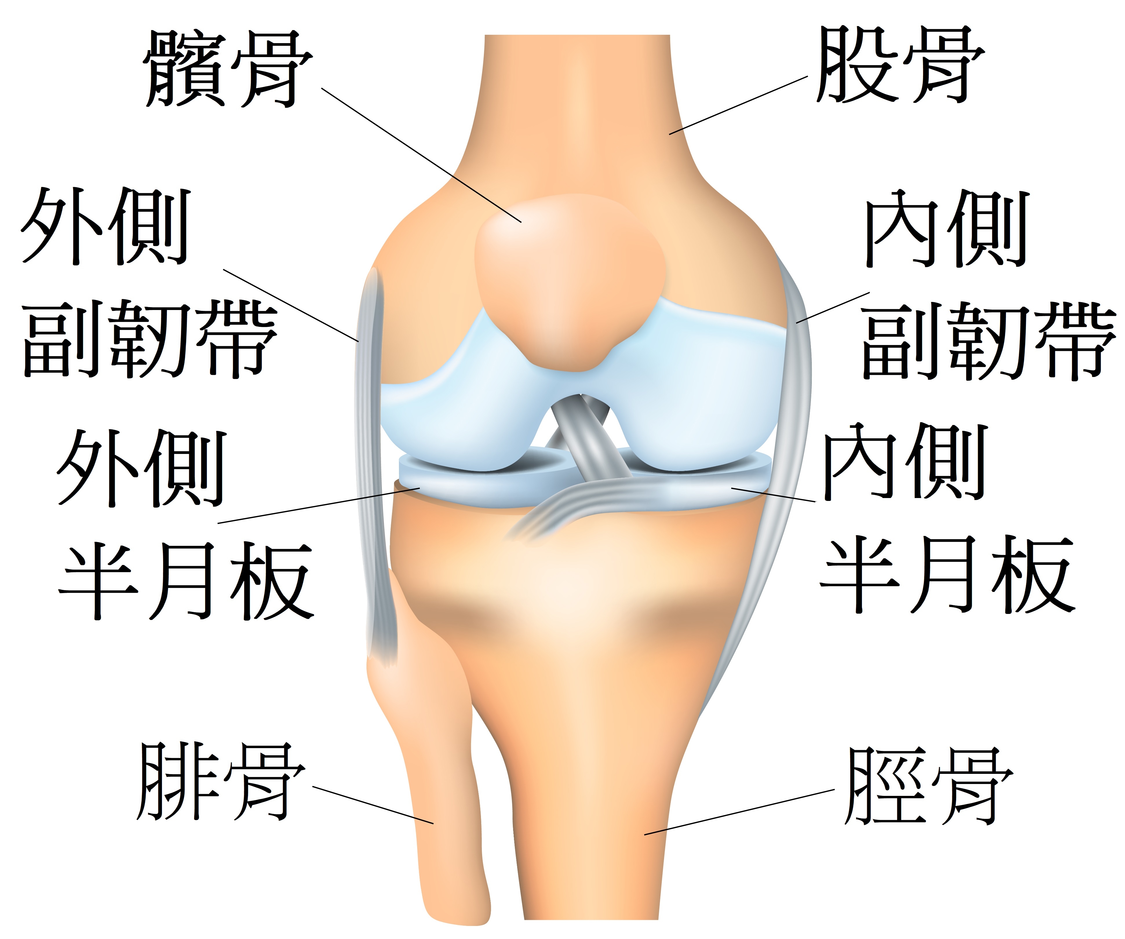 預防膝蓋痛，先在家練核心和臀肌！每天徒手練10分鐘，雙腿有力走路不腿軟_img_1