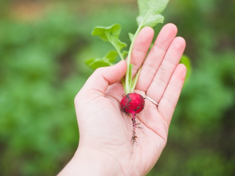 長時間待在家超疲憊？鄭淳予：太忙或放空都害大腦過勞！2個小調整身心變輕鬆_img_1