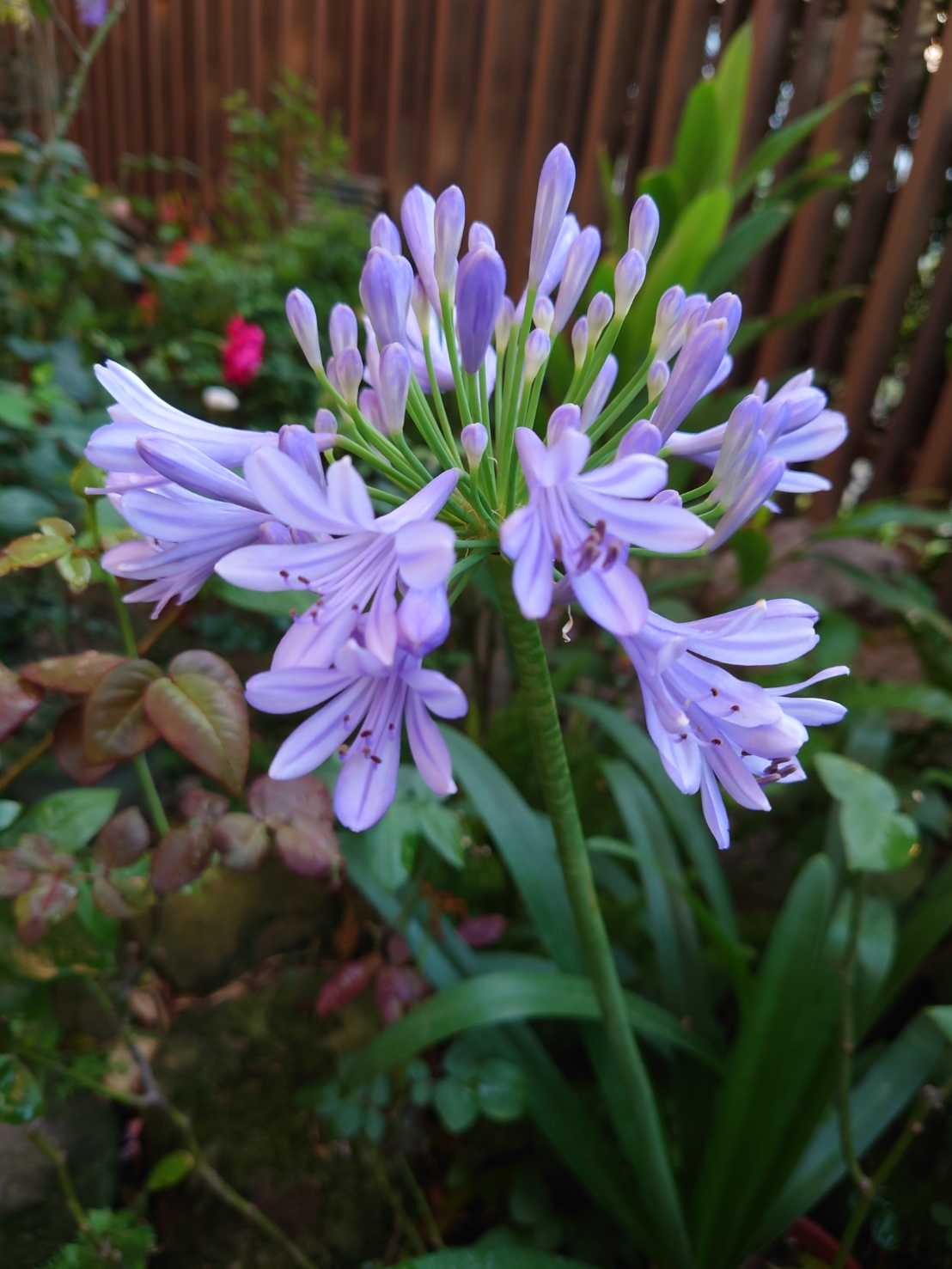 布置家中最美角落!軟裝師瑞妮:向法國人學優雅生活,那是幸福感的來源_img_2