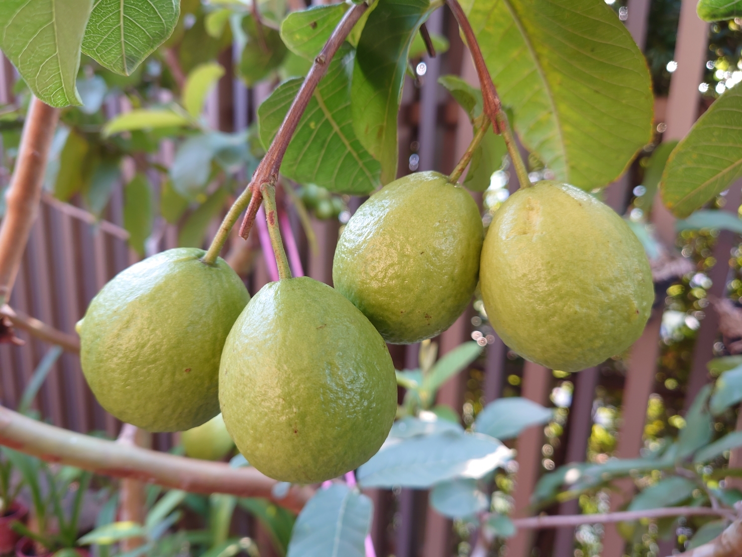 布置家中最美角落!軟裝師瑞妮:向法國人學優雅生活,那是幸福感的來源_img_3