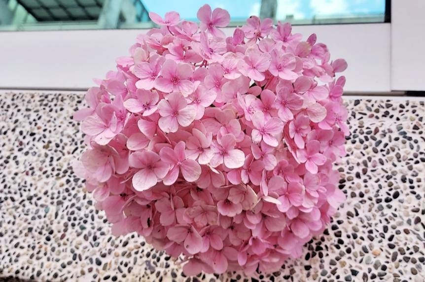 防疫生活教會我們的事！5位50+讀者分享：宅在家變瘦、養成新興趣，更懂如何與自己相處_img_3