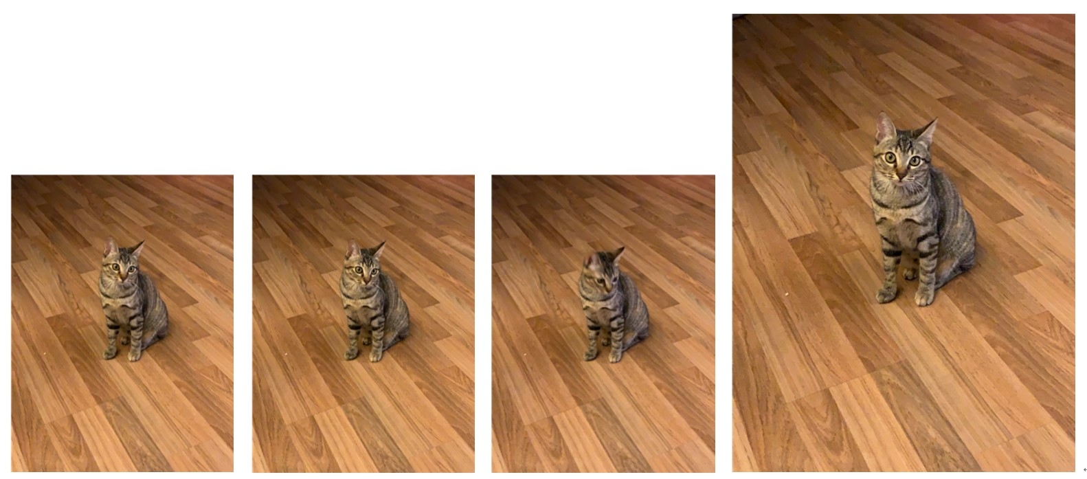 一看就懂的手機攝影心法!臉怎麼拍比較小,花怎麼拍比較美?_img_5