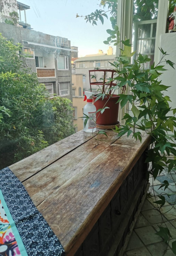 蘭萱專欄｜踏進家的儀式感！布置陽台小玄關，把病毒與煩心事都留在門外_img_1