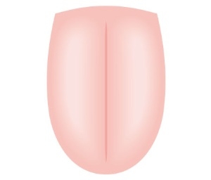 (圖片來源:日經新聞AIRA)