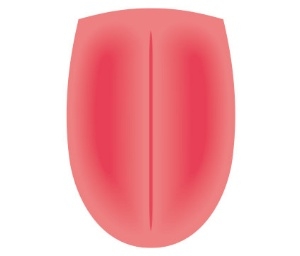 (圖片來源:日經新聞AIRA)