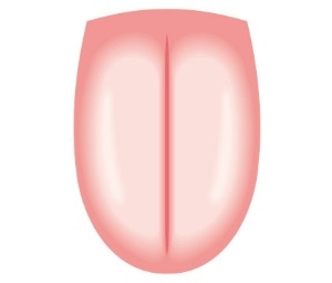 (圖片來源:日經新聞AIRA)