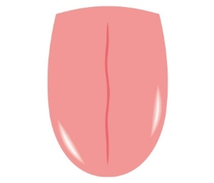 (圖片來源:日經新聞AIRA)