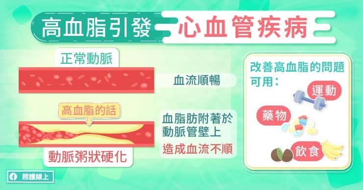照護線上｜預防心血管疾病與中風！研究證實可降血脂、減少壞膽固醇的6種運動_img_1