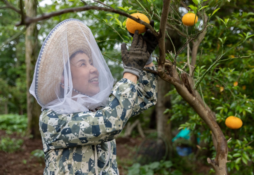 50歲後決定「解散家族」!日本夫婦移居郊區,不和兒女同住:過自己喜歡的生活更重要_img_3