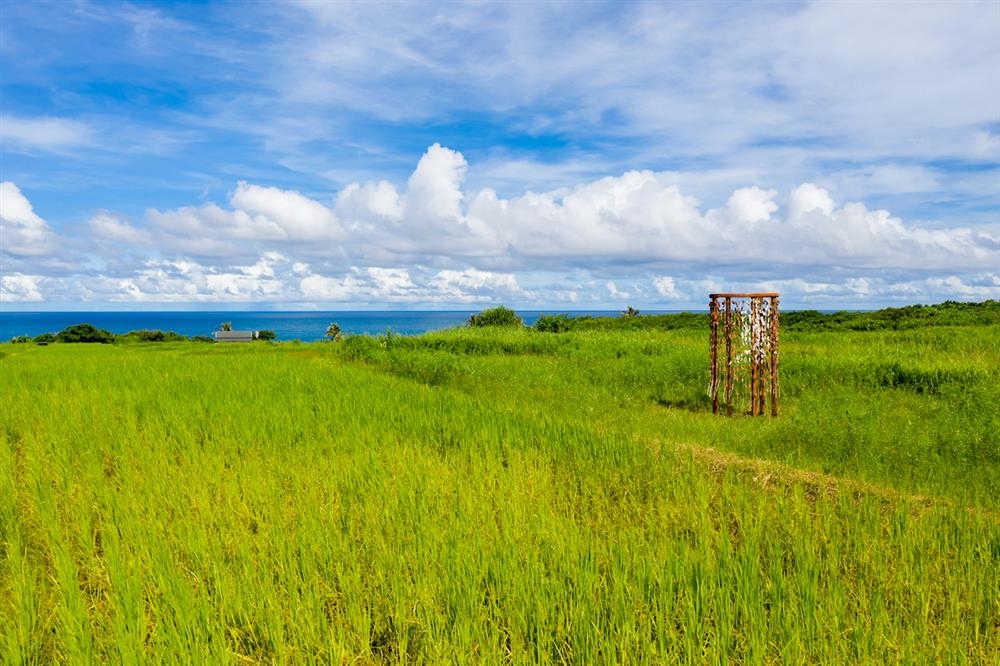 到花蓮山海間走走！森川里海濕地藝術季：走進豐濱5部落，戶外看展拍美照_img_1