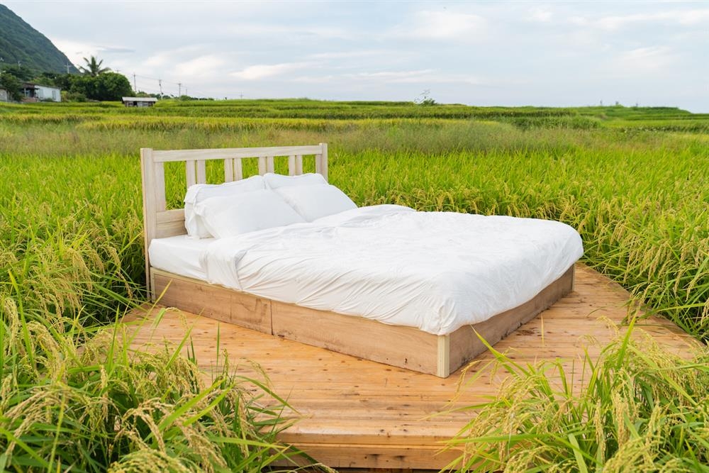 到花蓮山海間走走！森川里海濕地藝術季：走進豐濱5部落，戶外看展拍美照_img_5