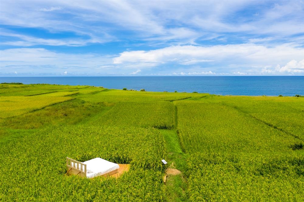 到花蓮山海間走走！森川里海濕地藝術季：走進豐濱5部落，戶外看展拍美照_img_4