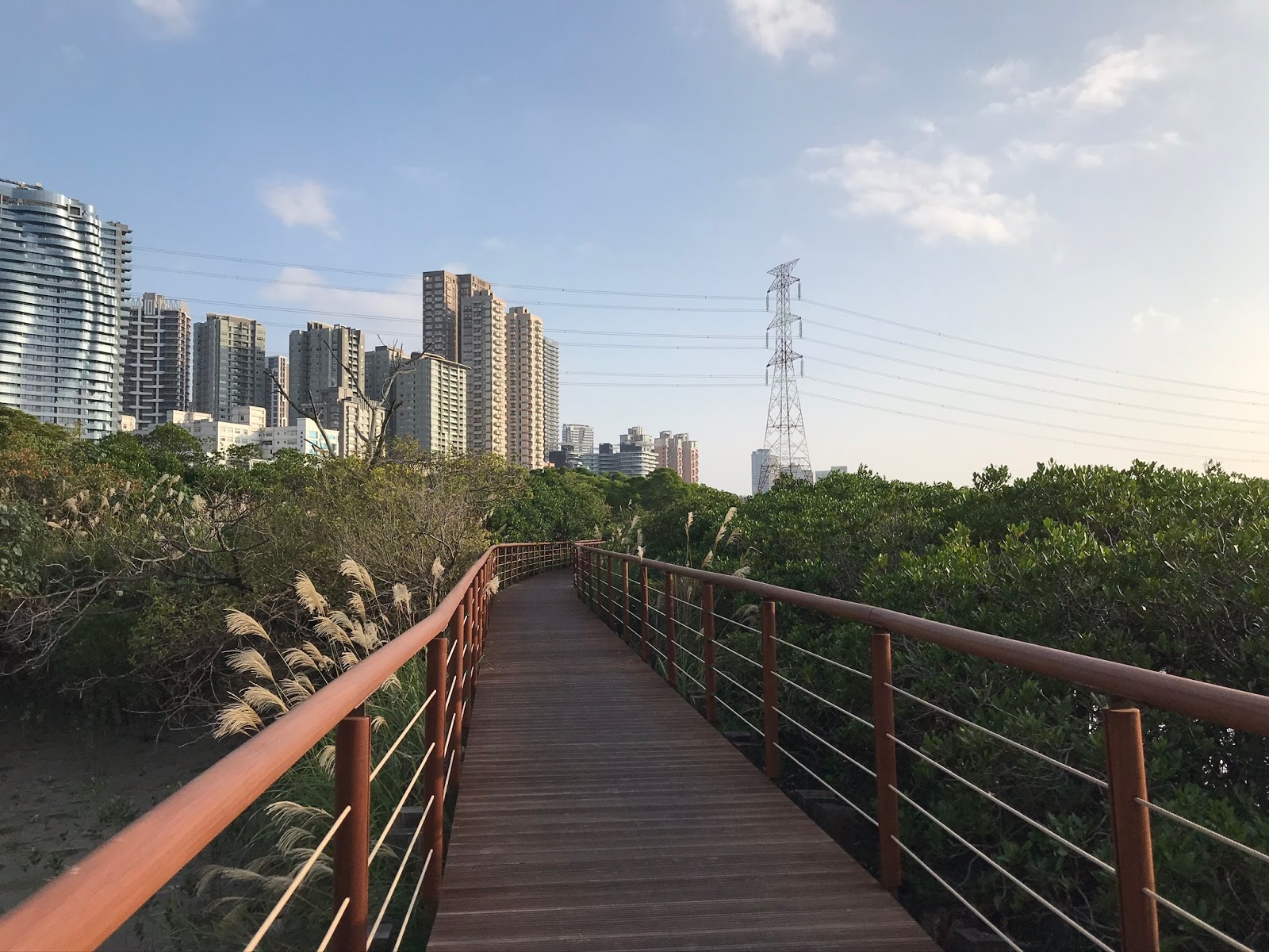 輕鬆好走景色優美！不太需要爬階梯，台灣4條步道推薦_img_1