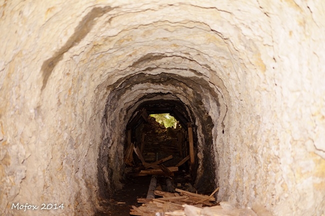 輕鬆好走景色優美！不太需要爬階梯，台灣4條步道推薦_img_3