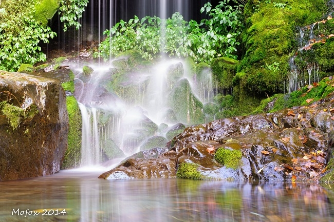 輕鬆好走景色優美！不太需要爬階梯，台灣4條步道推薦_img_4