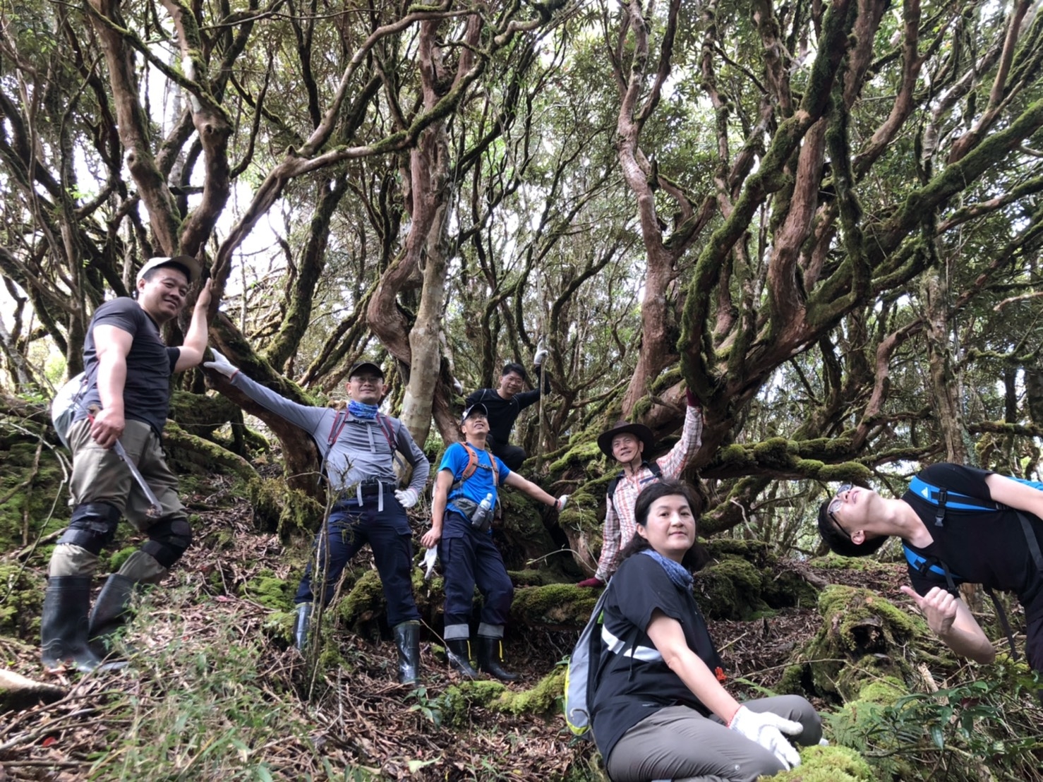 輕鬆好走景色優美！不太需要爬階梯，台灣4條步道推薦_img_6