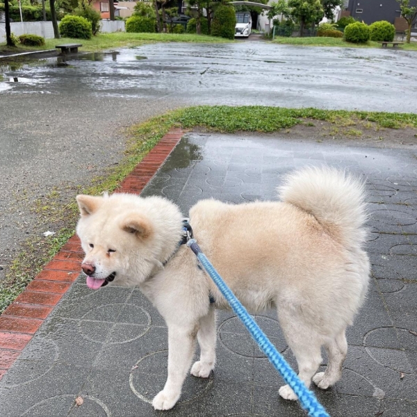 用洗米水洗臉,52歲擁有好膚質!日本美魔女水谷雅子的6個美容秘訣_img_5