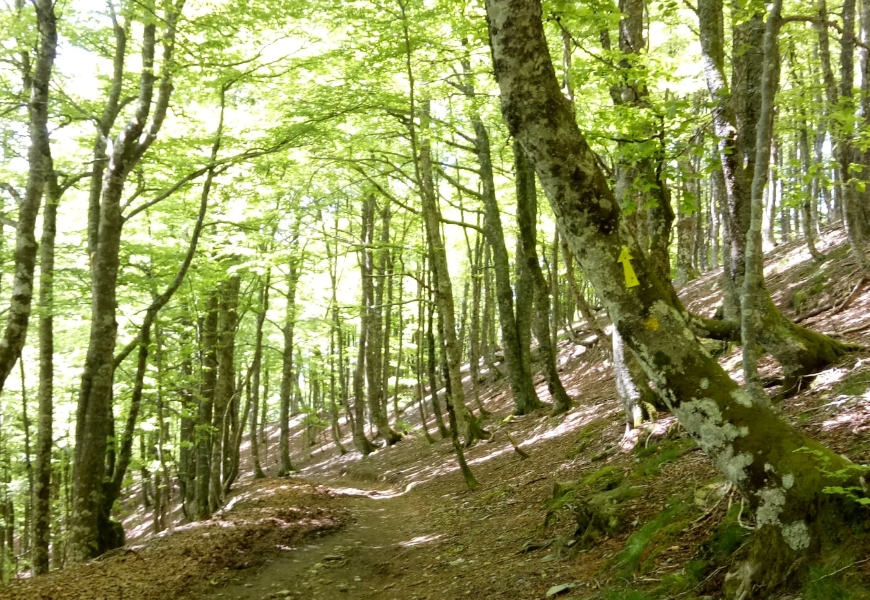 彭菊仙專欄｜50歲後我出去一下！不做媽媽、太太、媳婦的799公里找自己之路_img_2