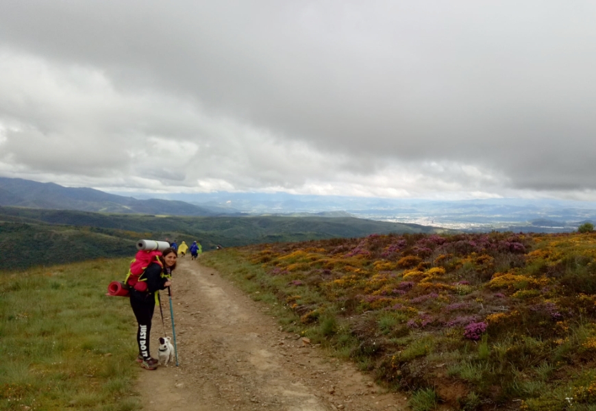 彭菊仙專欄｜50歲後我出去一下！不做媽媽、太太、媳婦的799公里找自己之路_img_3