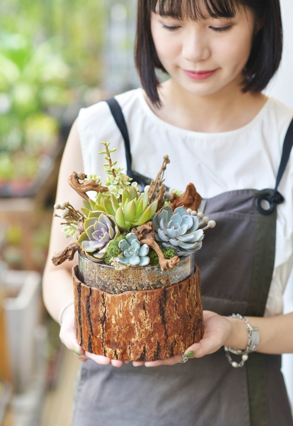 植物是最好的居家布置!如何用多肉植物與空氣鳳梨,打造自然系美宅?_img_7